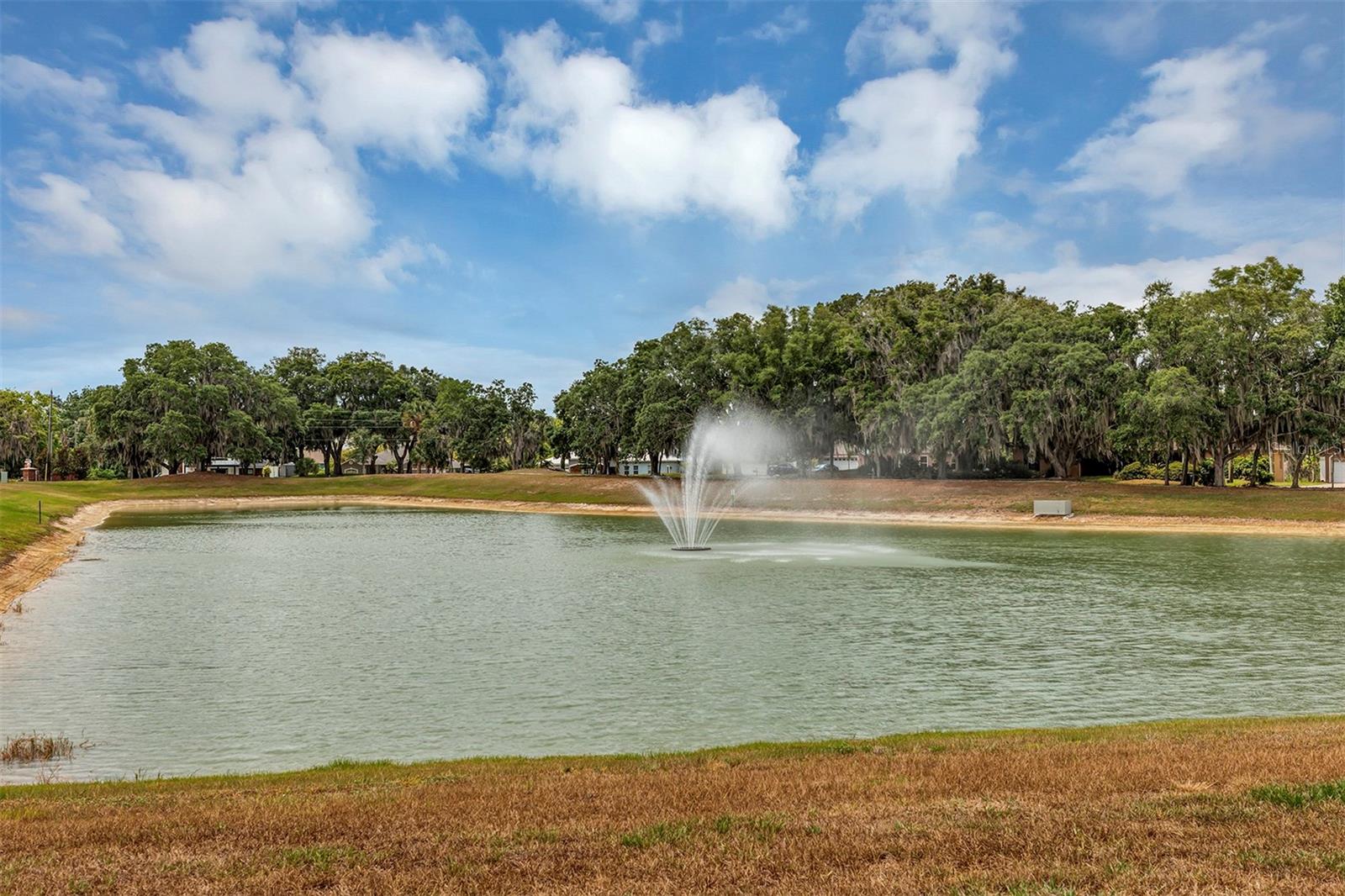 2163 BAY LINE RD, OAKLAND, FL, 34787