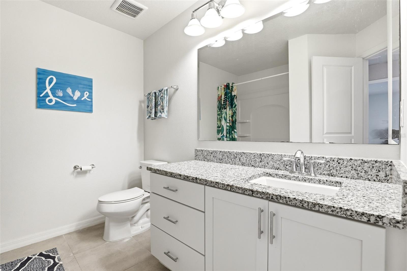 8138 SOLDIERWOOD ST, WINTER GARDEN, FL, 34787