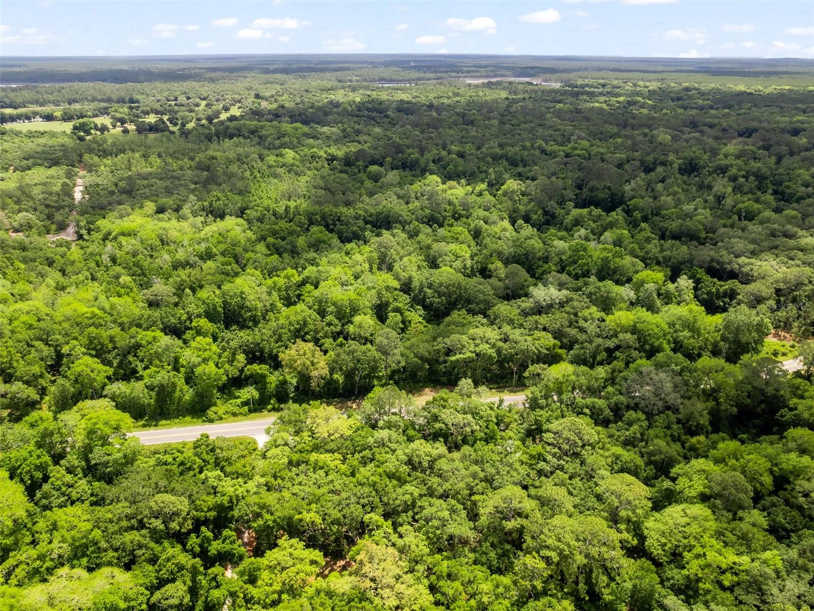 0 SE 182ND AVE SE, OCKLAWAHA, FL, 32179