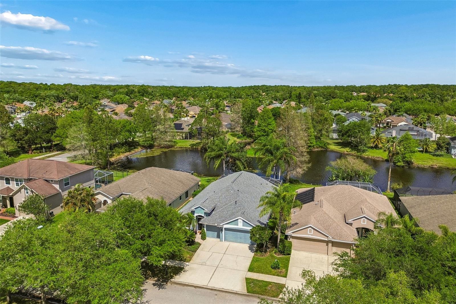 10145 KINGSBRIDGE AVE, TAMPA, FL, 33626