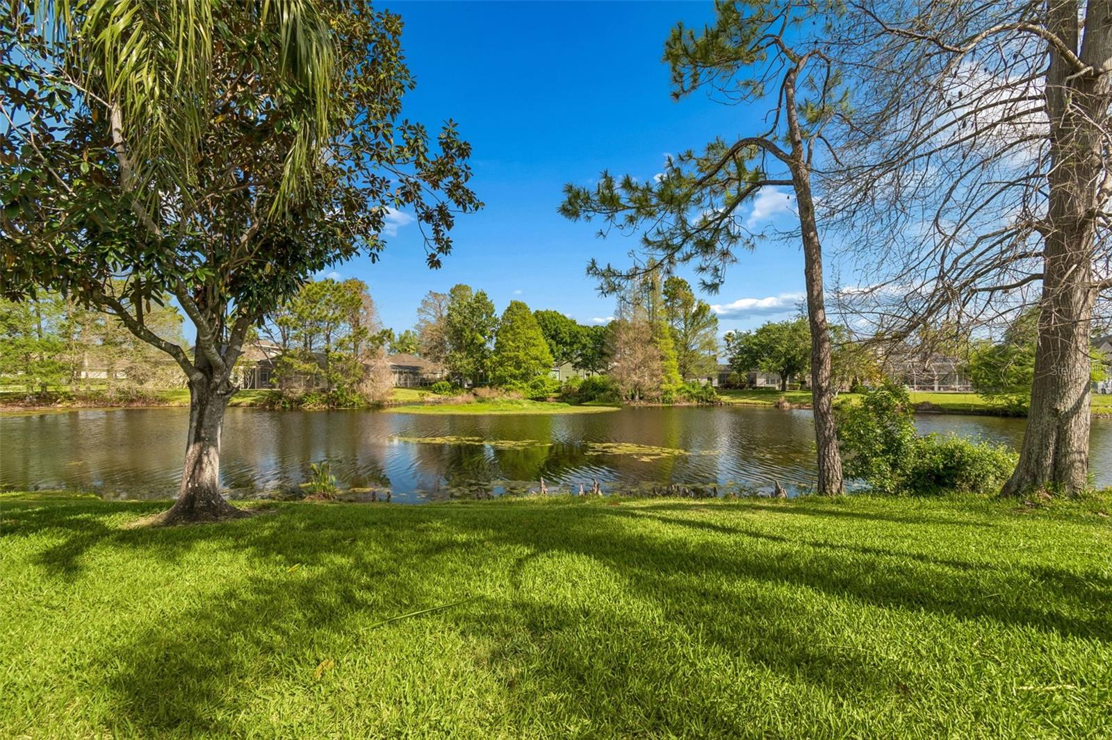 10145 KINGSBRIDGE AVE, TAMPA, FL, 33626