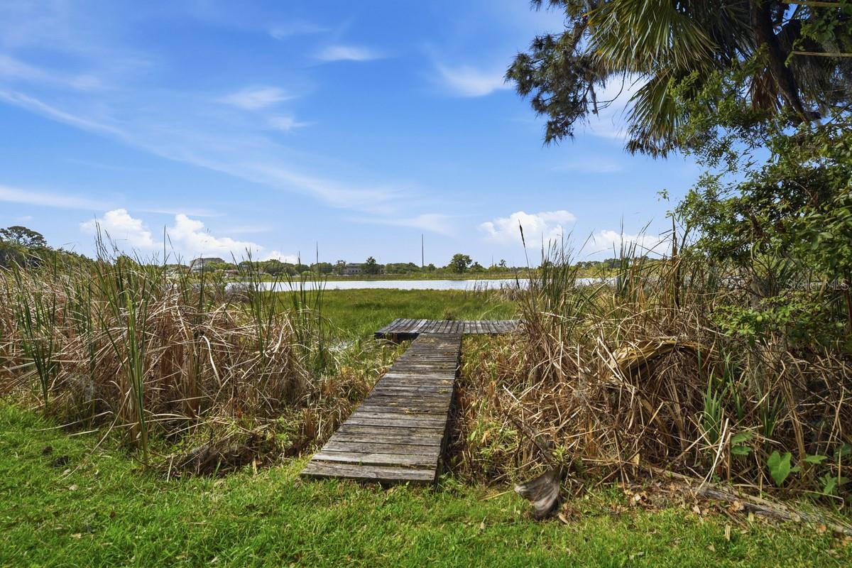 14338 LAKE JUNIETTA DR, TAVARES, FL, 32778