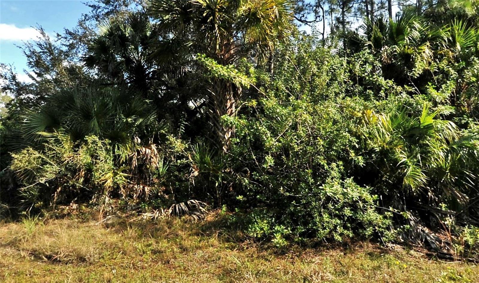 BOLUS, NORTH PORT, FL, 34288