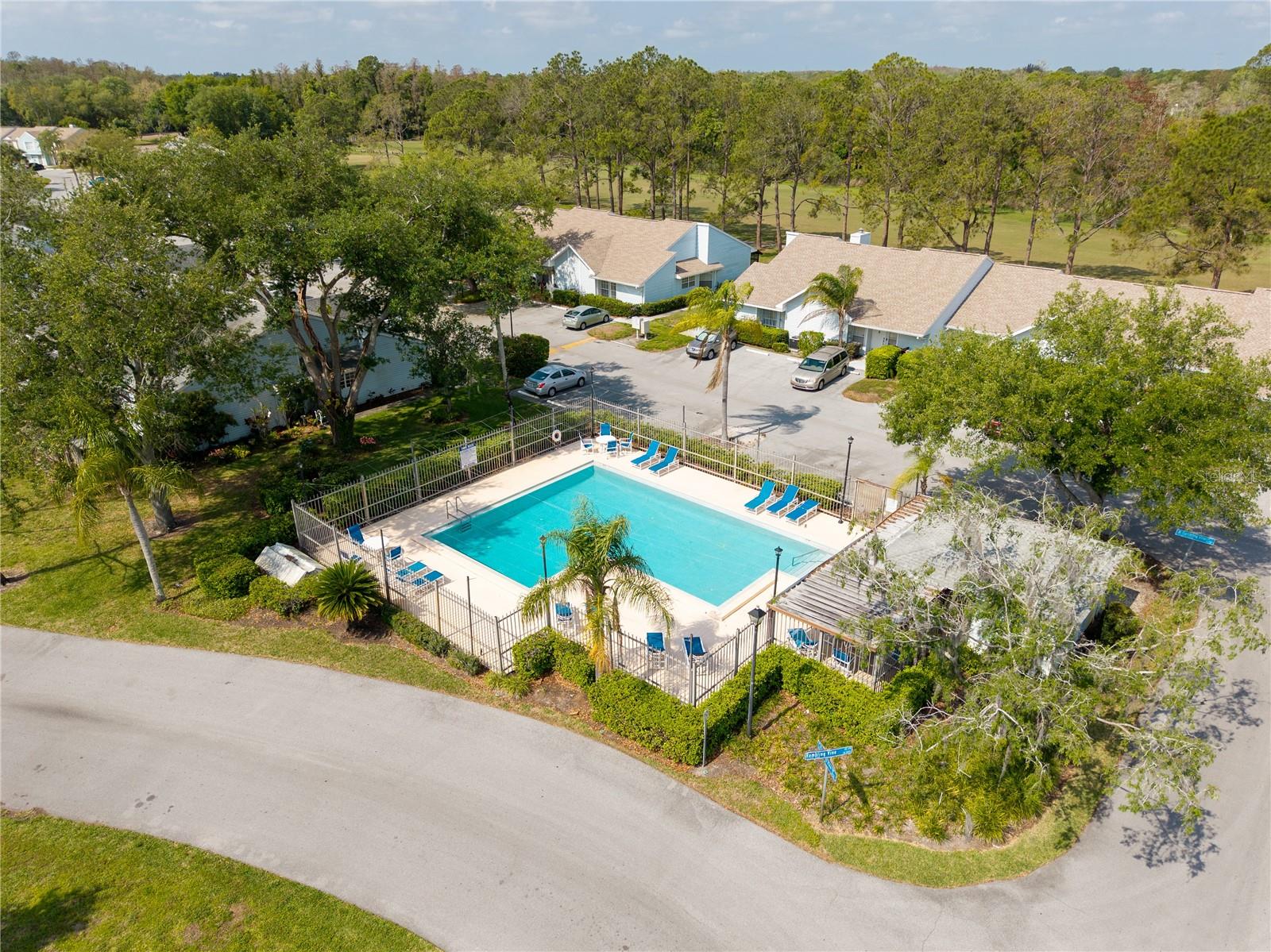 16110 RAMBLING VINE DR W, TAMPA, FL, 33624