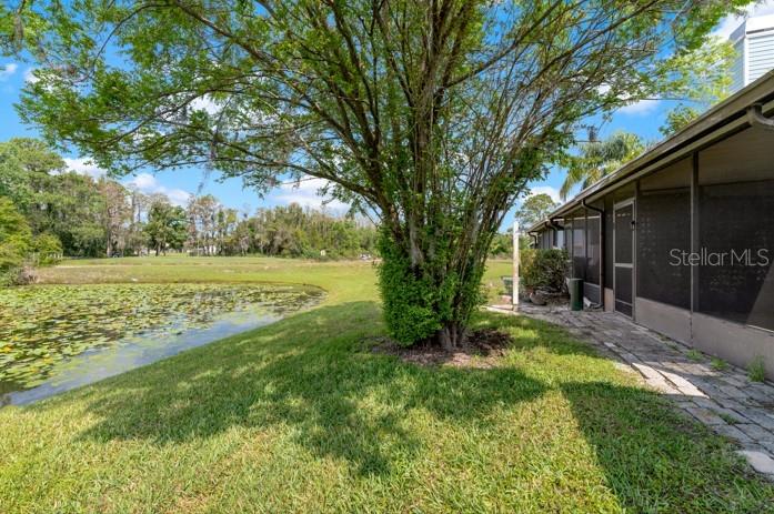 16110 RAMBLING VINE DR W, TAMPA, FL, 33624