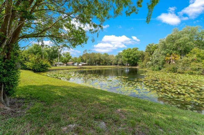 16110 RAMBLING VINE DR W, TAMPA, FL, 33624