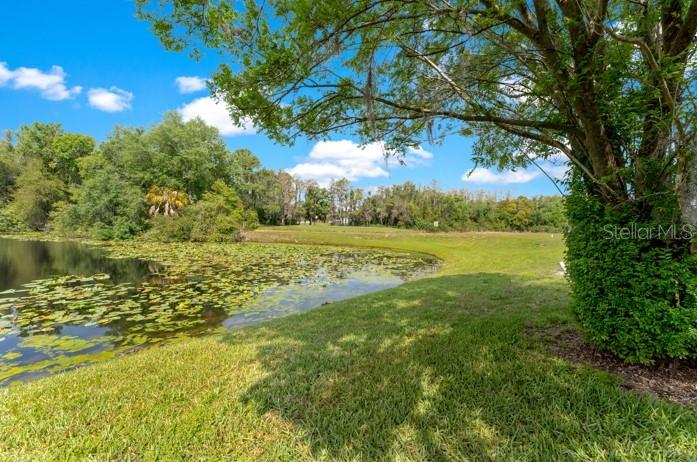 16110 RAMBLING VINE DR W, TAMPA, FL, 33624