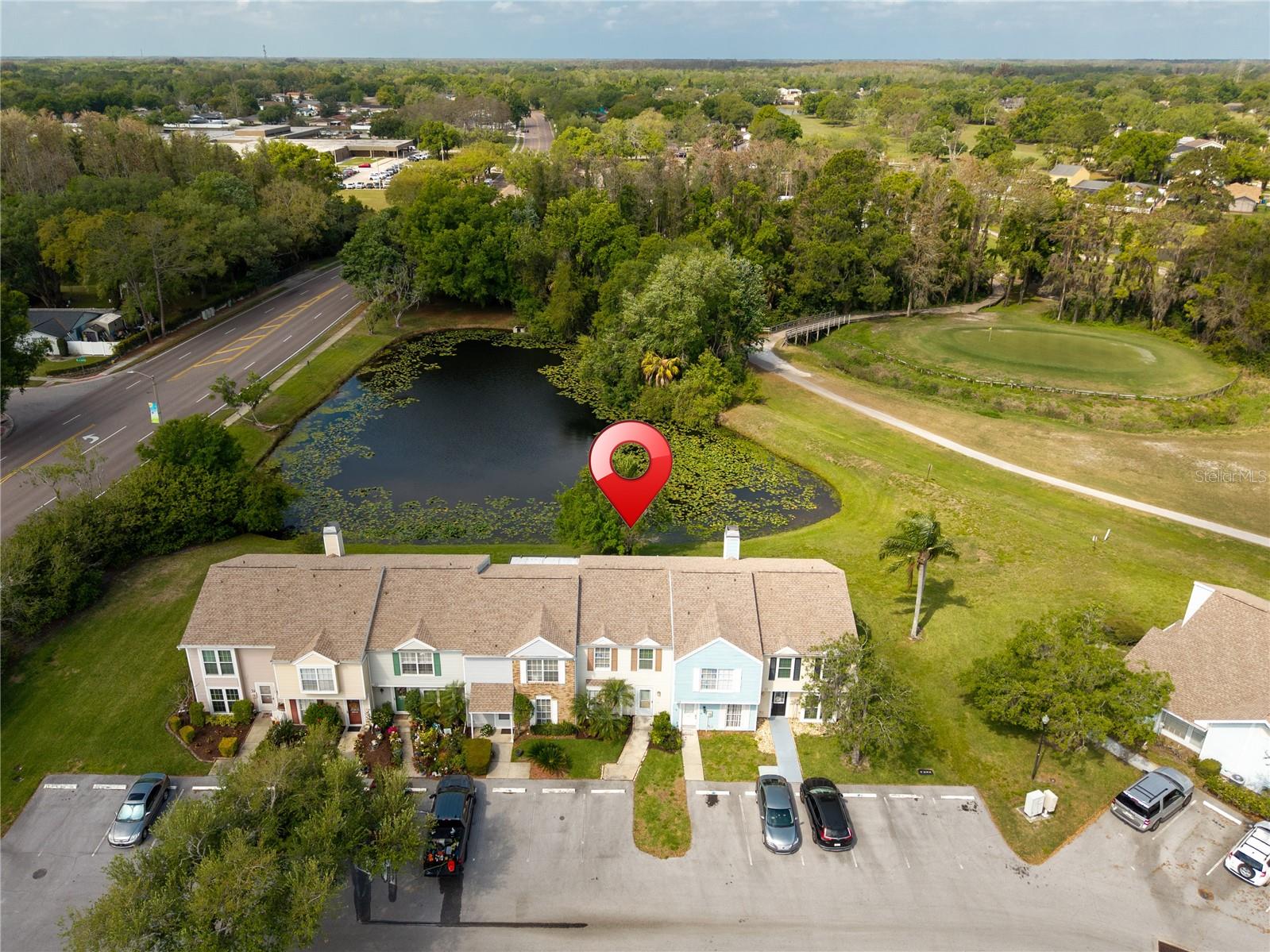 16110 RAMBLING VINE DR W, TAMPA, FL, 33624