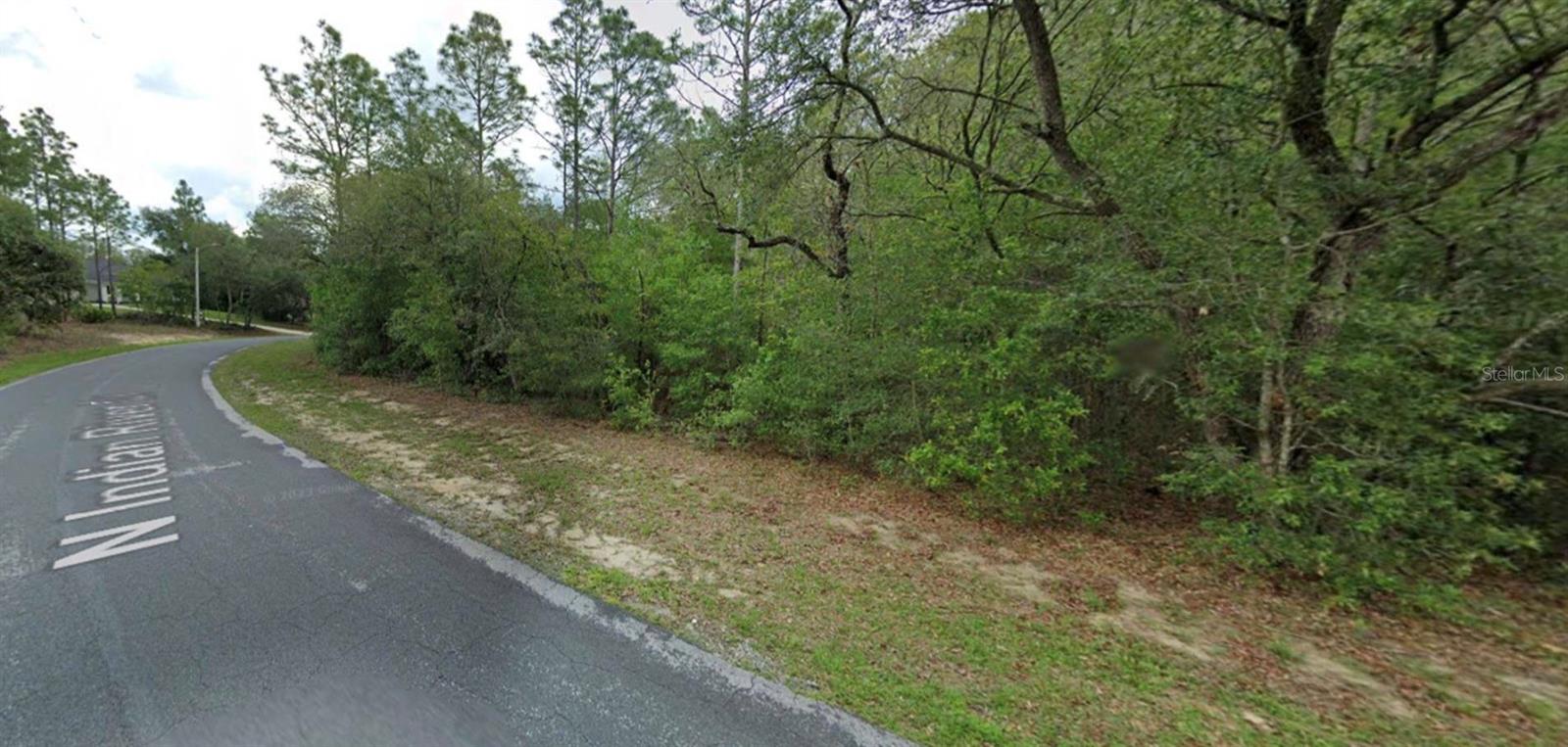 4270 N INDIANRIVER DR, HERNANDO, FL, 34442