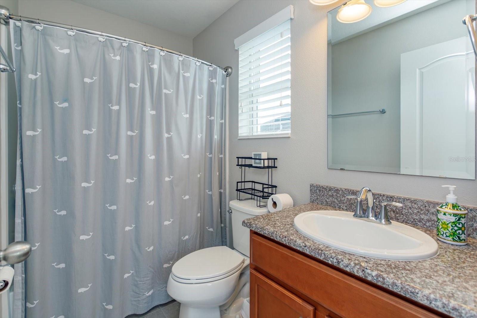 13813 PEACH ORCHARD WAY, WINTER GARDEN, FL, 34787