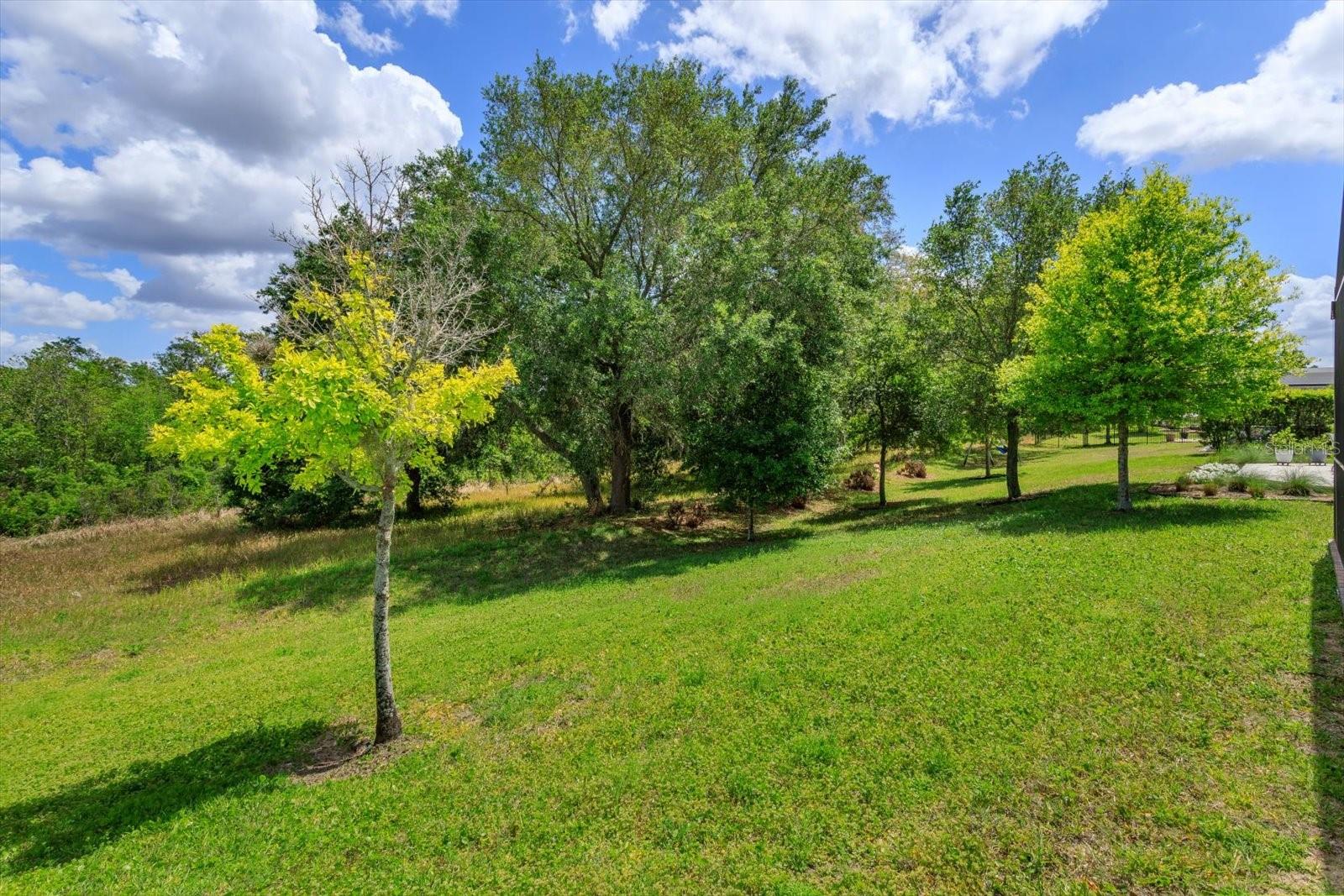 13813 PEACH ORCHARD WAY, WINTER GARDEN, FL, 34787