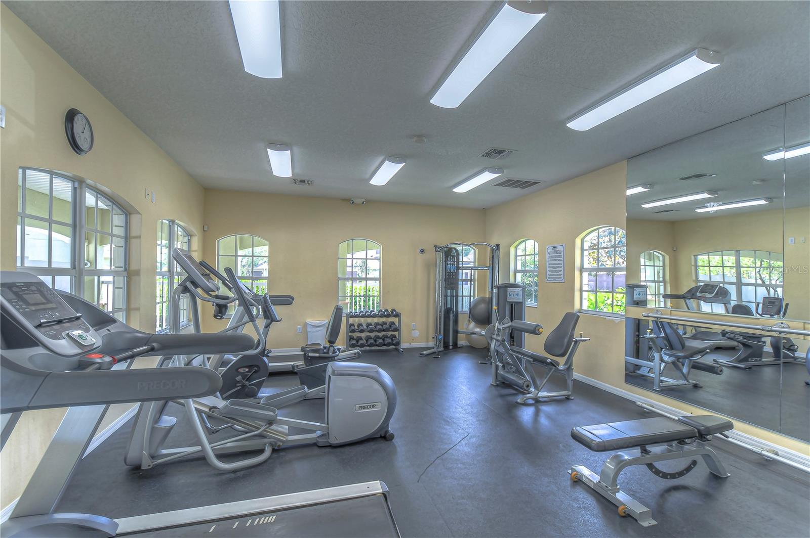 8507 SANDPIPER RIDGE AVE, TAMPA, FL, 33647