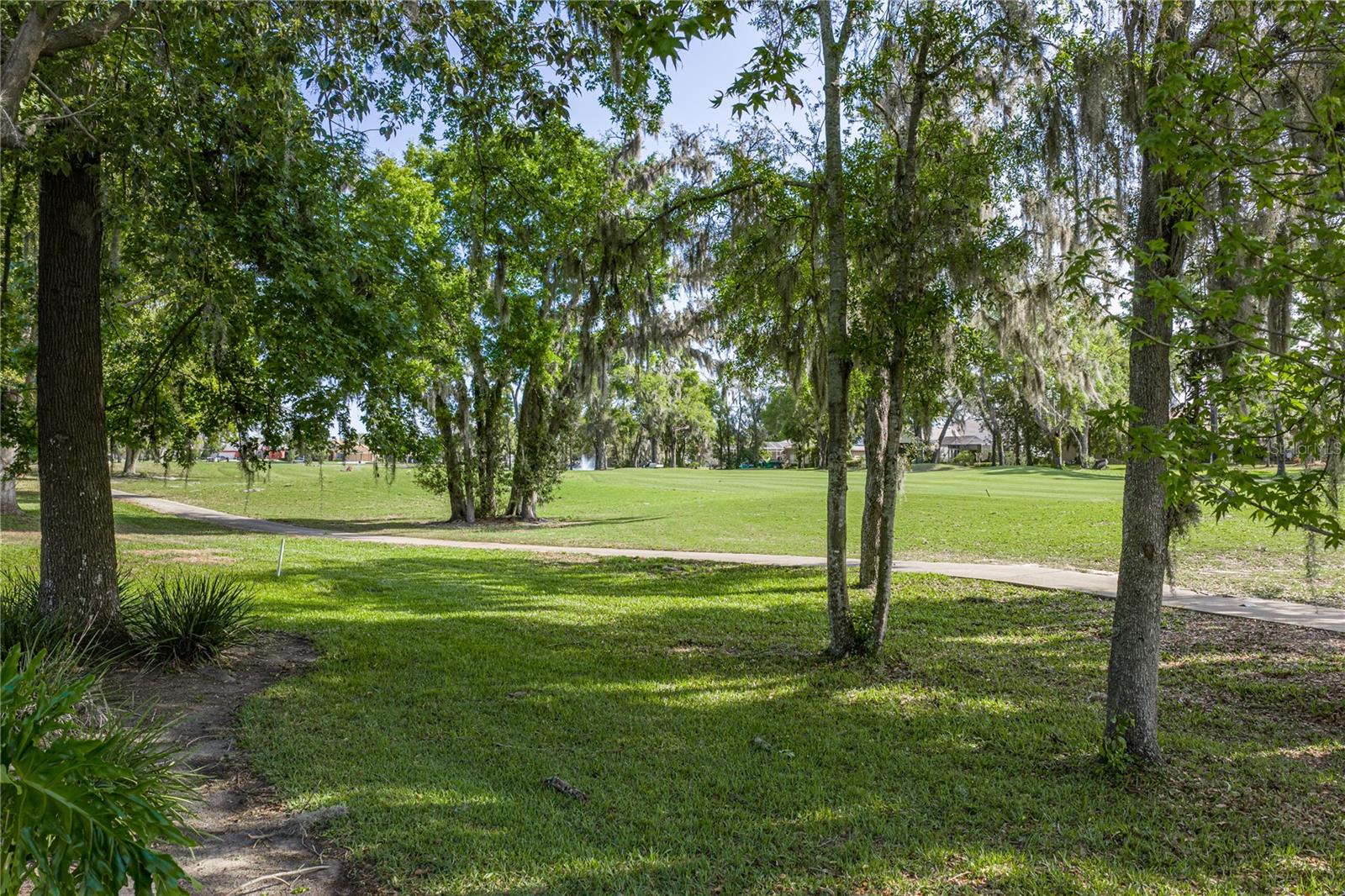 12410 WOODLANDS CIR, DADE CITY, FL, 33525