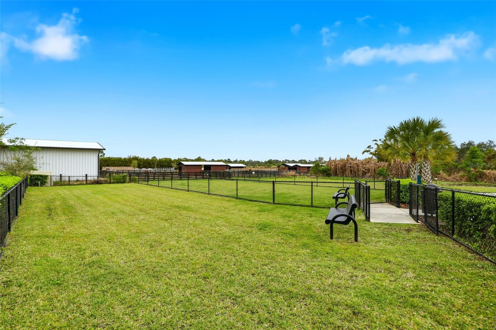 14354 WABASSO LOOP, WINTER GARDEN, FL, 34787