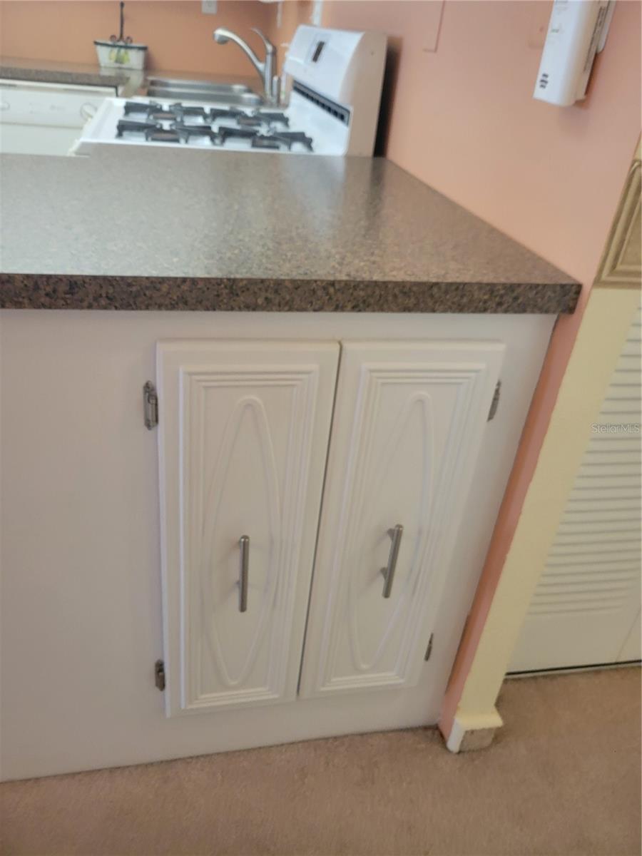 9950 62ND TER N #417, ST PETERSBURG, FL, 33708