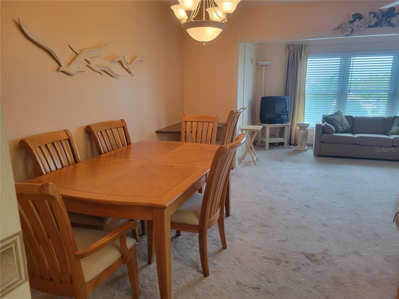 9950 62ND TER N #417, ST PETERSBURG, FL, 33708