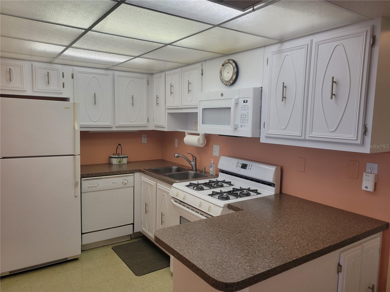 9950 62ND TER N #417, ST PETERSBURG, FL, 33708