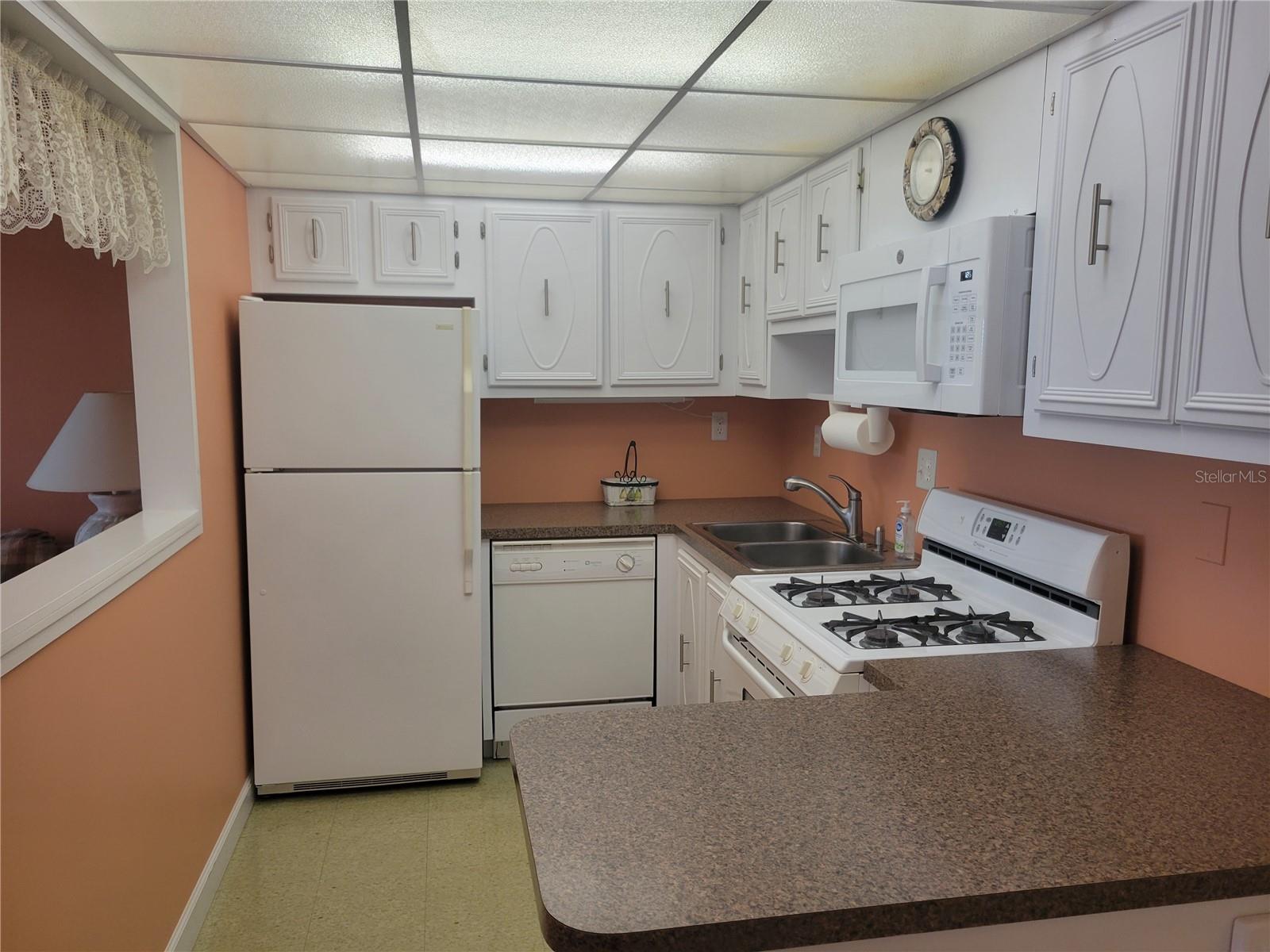 9950 62ND TER N #417, ST PETERSBURG, FL, 33708