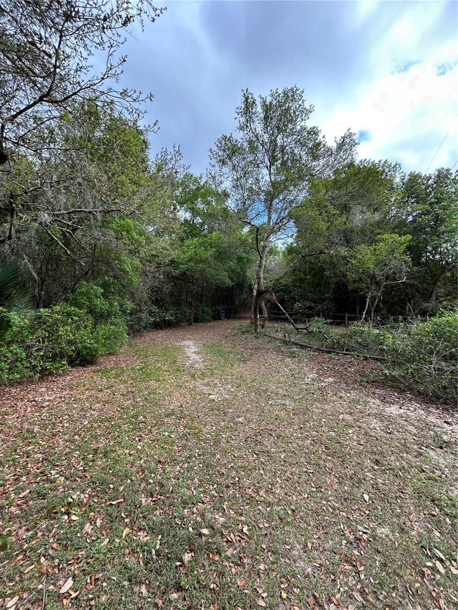 10679 GOOSE PRAIRIE RD, LEESBURG, FL, 34788