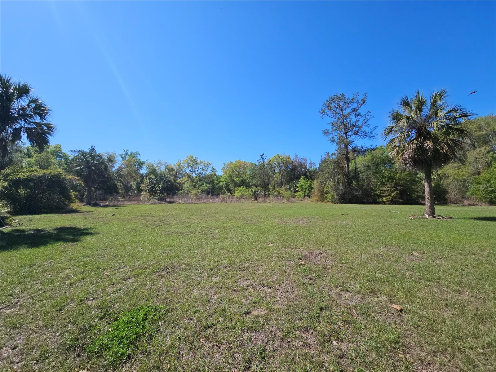 10679 GOOSE PRAIRIE RD, LEESBURG, FL, 34788