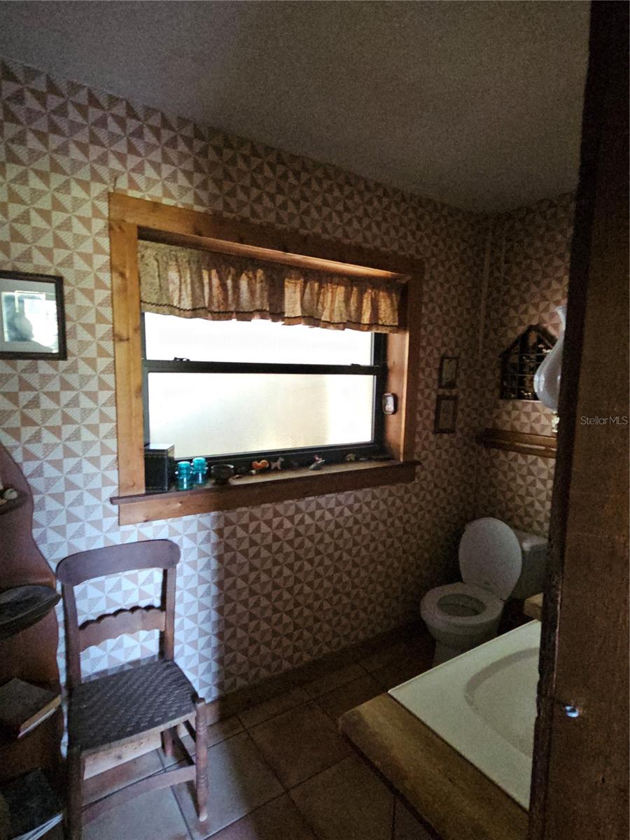 10679 GOOSE PRAIRIE RD, LEESBURG, FL, 34788