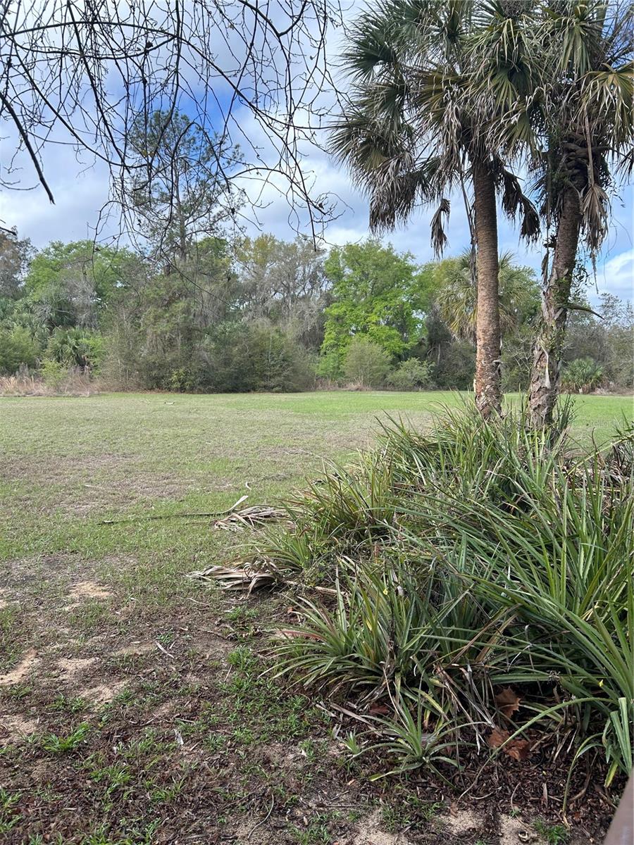 10679 GOOSE PRAIRIE RD, LEESBURG, FL, 34788