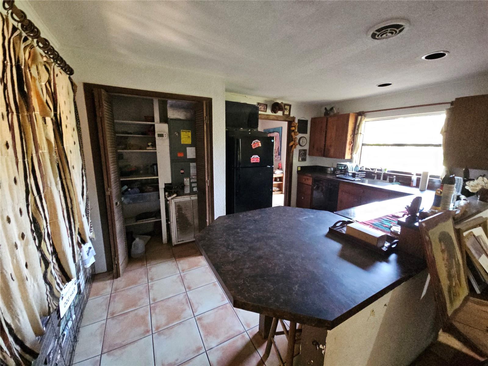 10679 GOOSE PRAIRIE RD, LEESBURG, FL, 34788