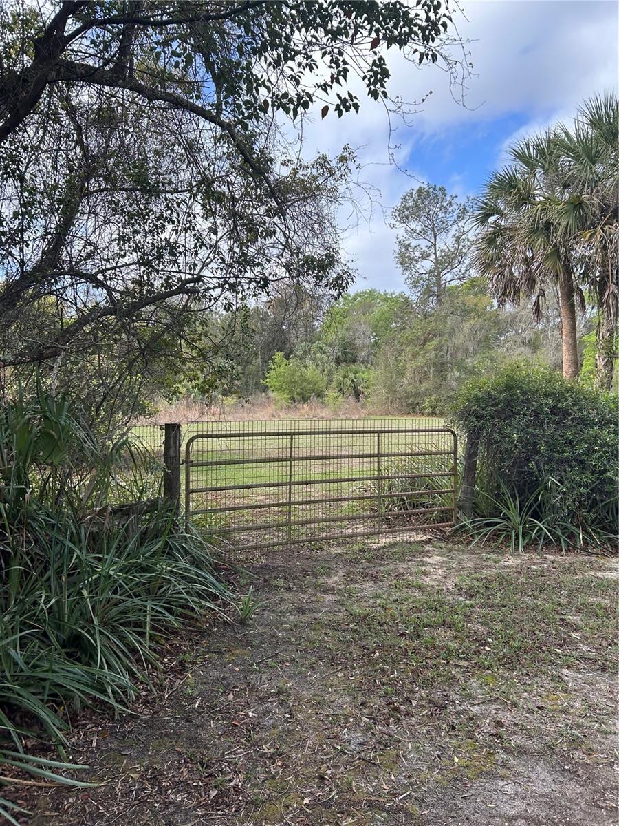 10679 GOOSE PRAIRIE RD, LEESBURG, FL, 34788