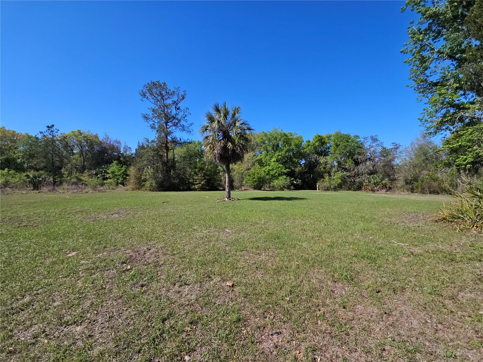 10679 GOOSE PRAIRIE RD, LEESBURG, FL, 34788