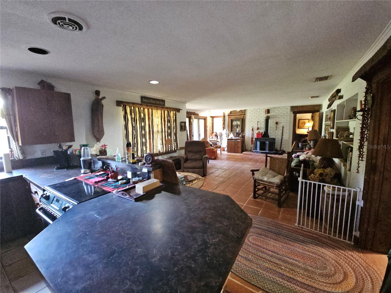 10679 GOOSE PRAIRIE RD, LEESBURG, FL, 34788