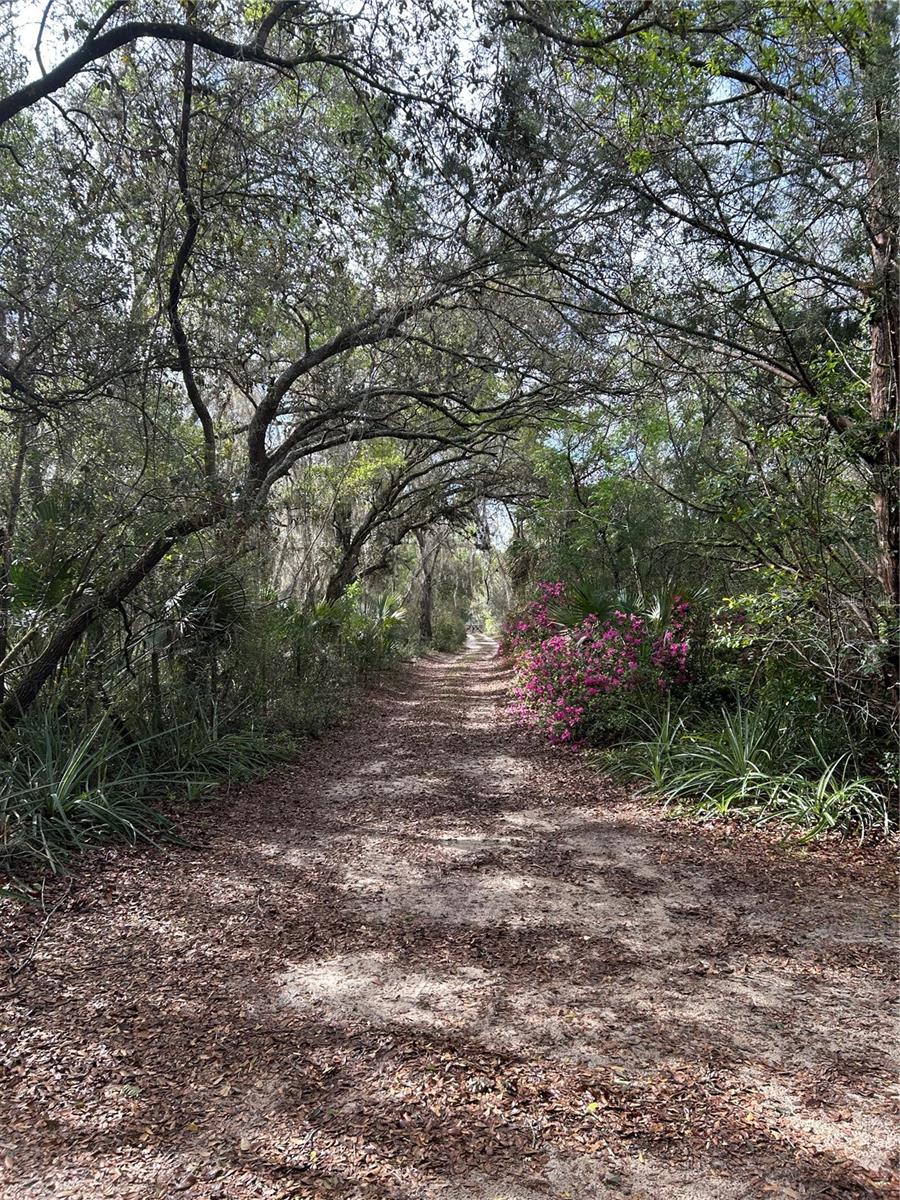 10679 GOOSE PRAIRIE RD, LEESBURG, FL, 34788