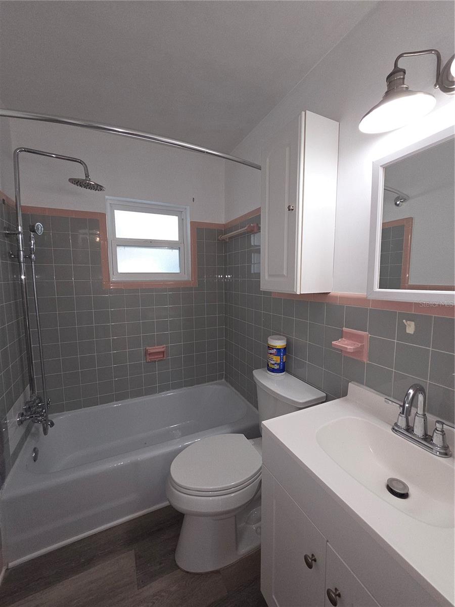 915 NORMAN DR, MOUNT DORA, FL, 32757