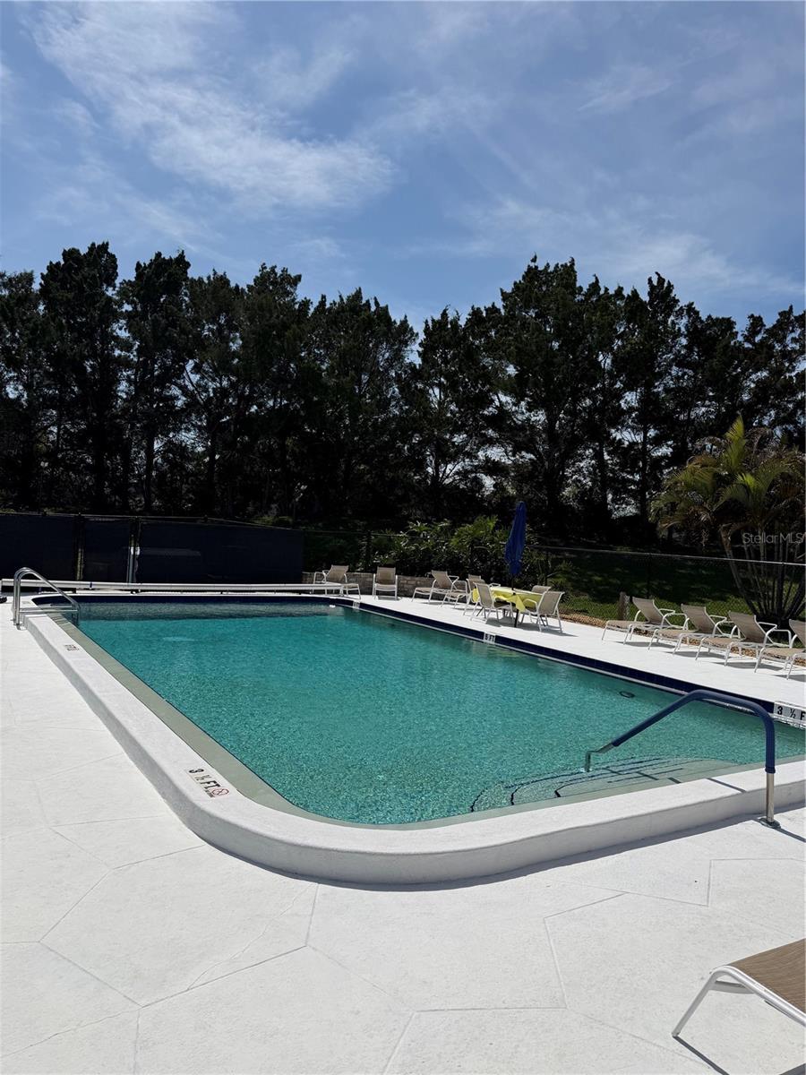 204 WINDWARD PL #36, OLDSMAR, FL, 34677