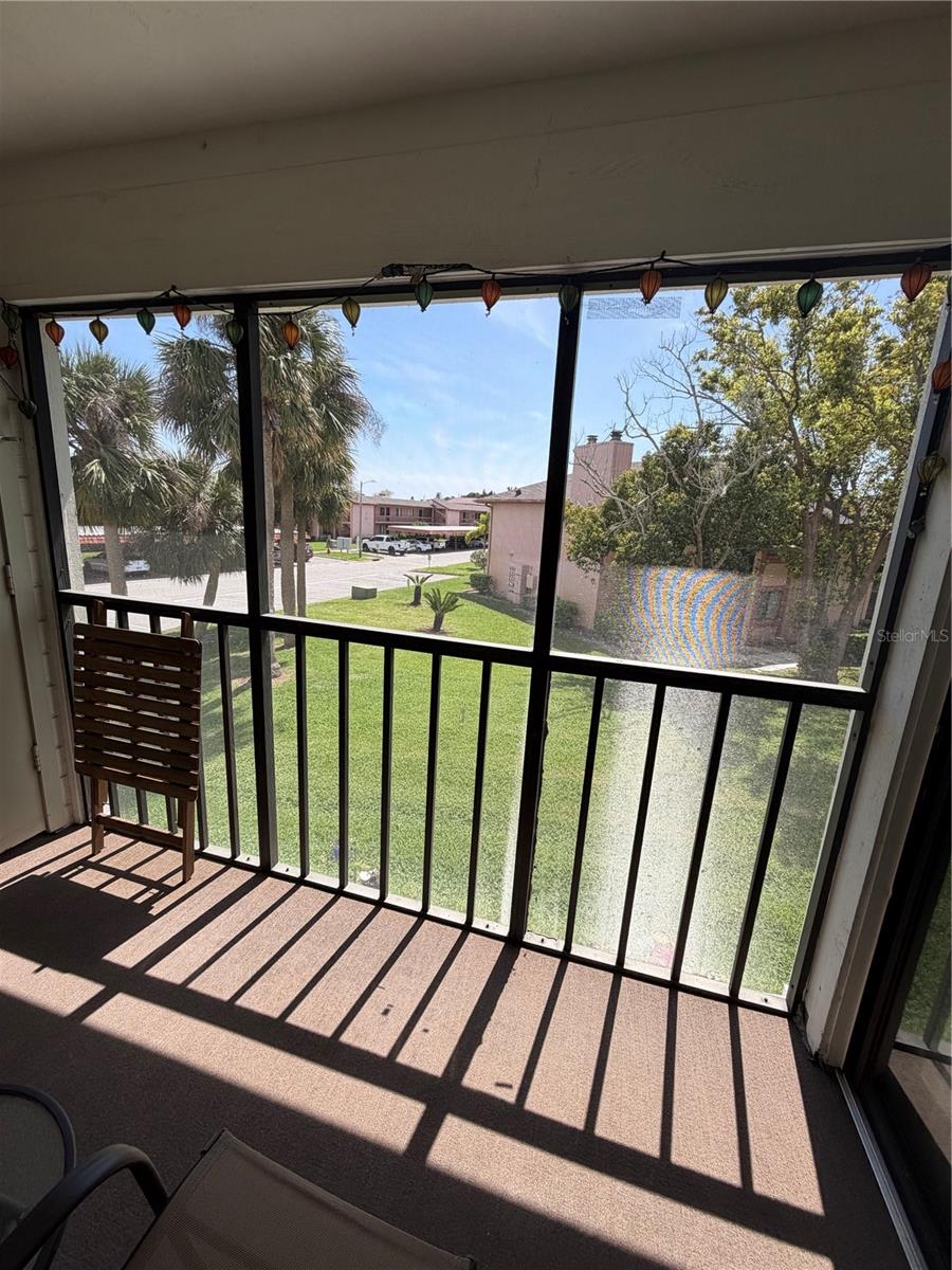 204 WINDWARD PL #36, OLDSMAR, FL, 34677