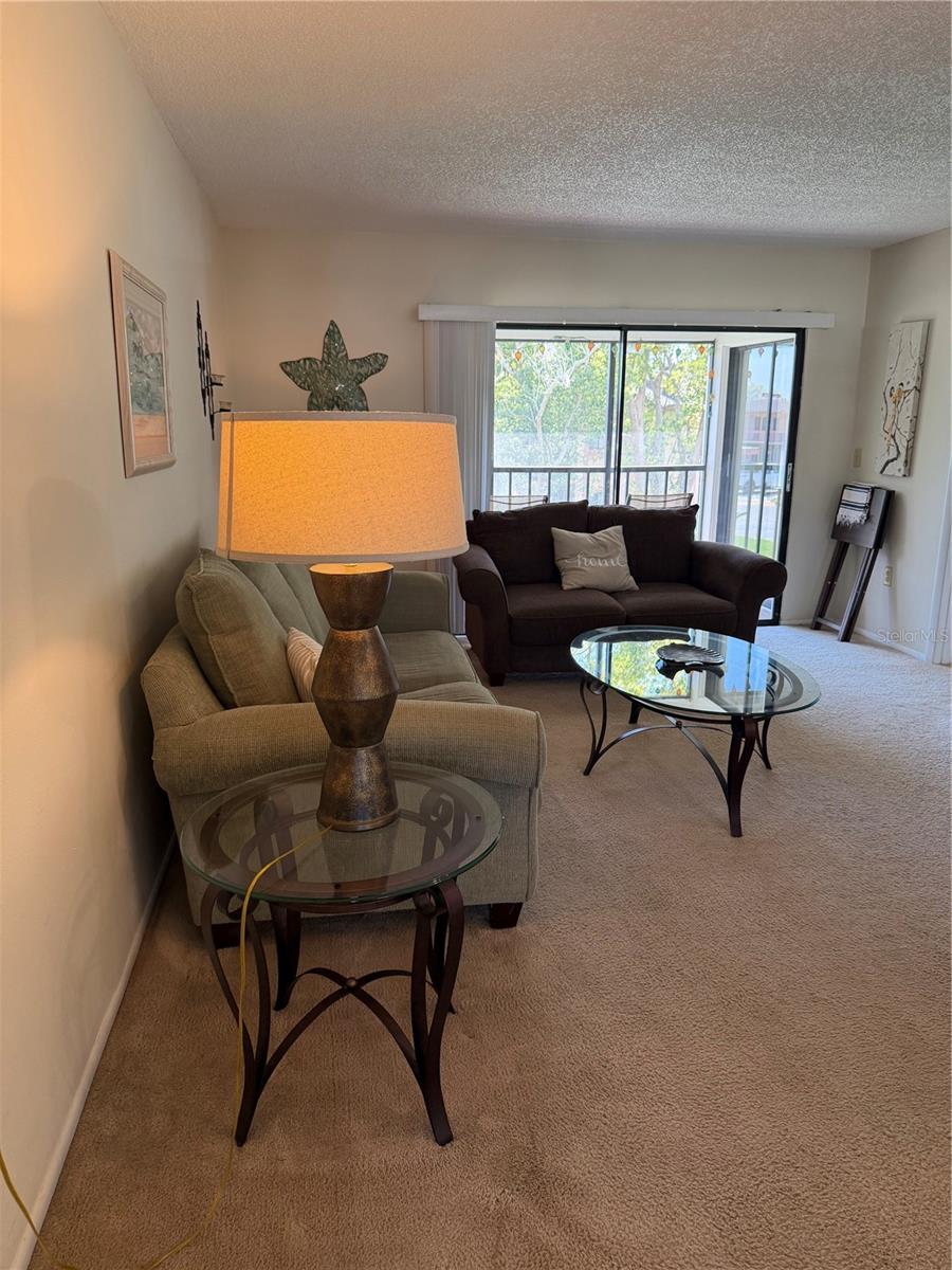 204 WINDWARD PL #36, OLDSMAR, FL, 34677