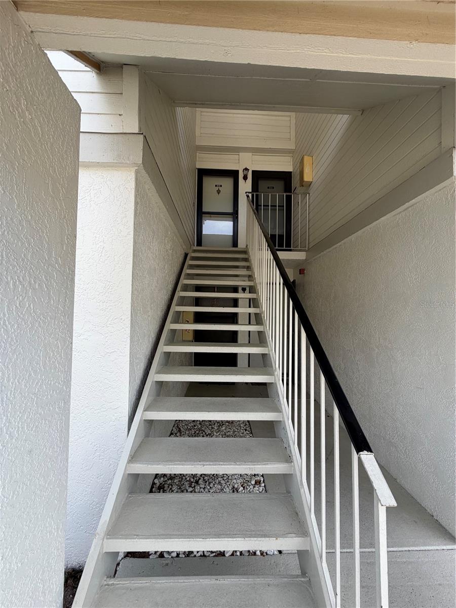 204 WINDWARD PL #36, OLDSMAR, FL, 34677