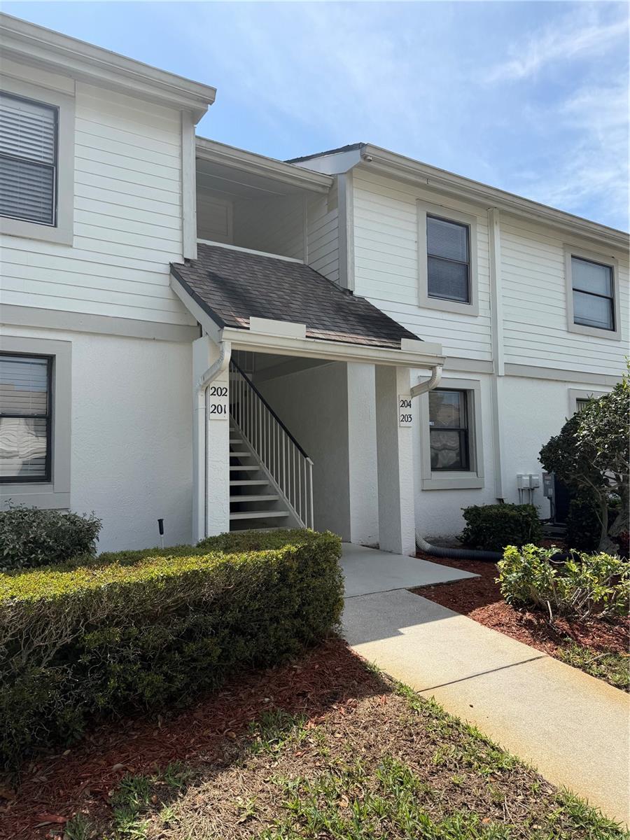 204 WINDWARD PL #36, OLDSMAR, FL, 34677