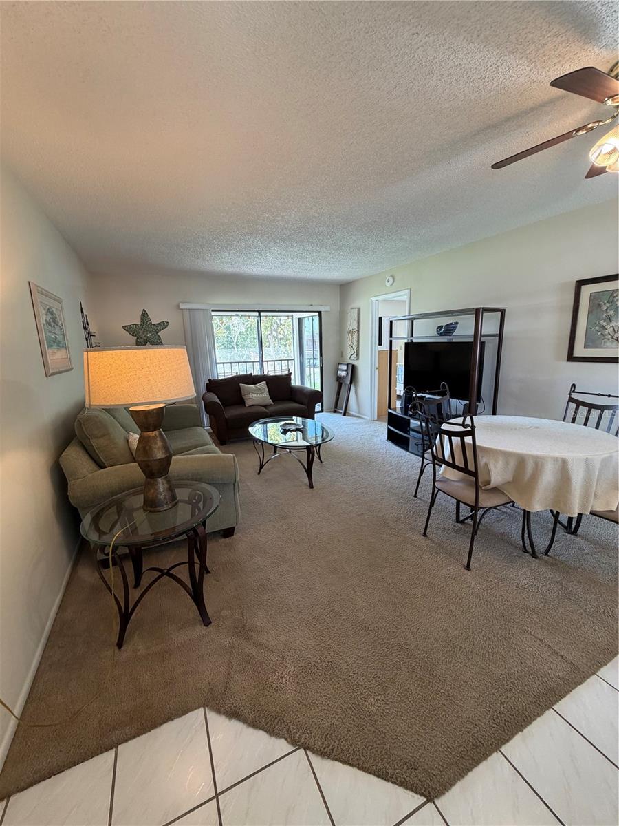 204 WINDWARD PL #36, OLDSMAR, FL, 34677