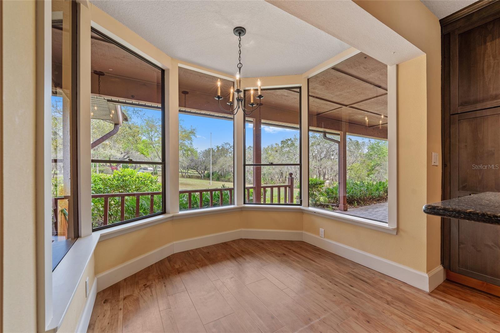 17549 SEIDNER RD, WINTER GARDEN, FL, 34787