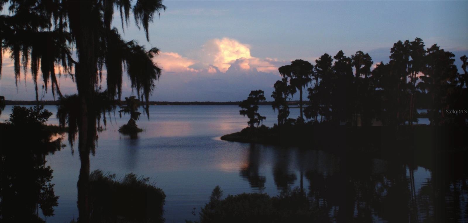 17549 SEIDNER RD, WINTER GARDEN, FL, 34787