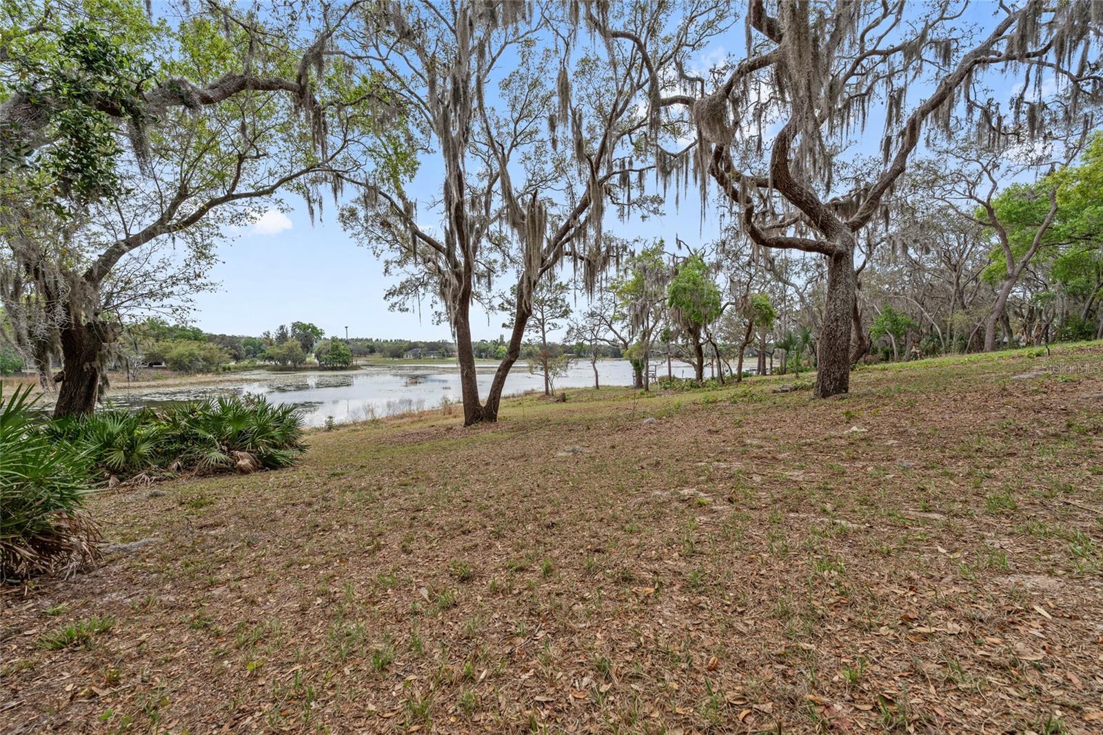 17549 SEIDNER RD, WINTER GARDEN, FL, 34787