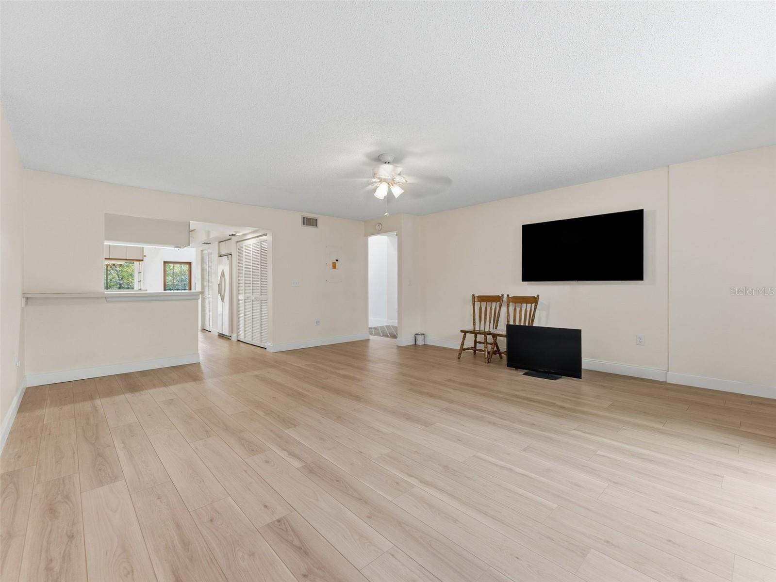 Living Room and Kitchen Combo