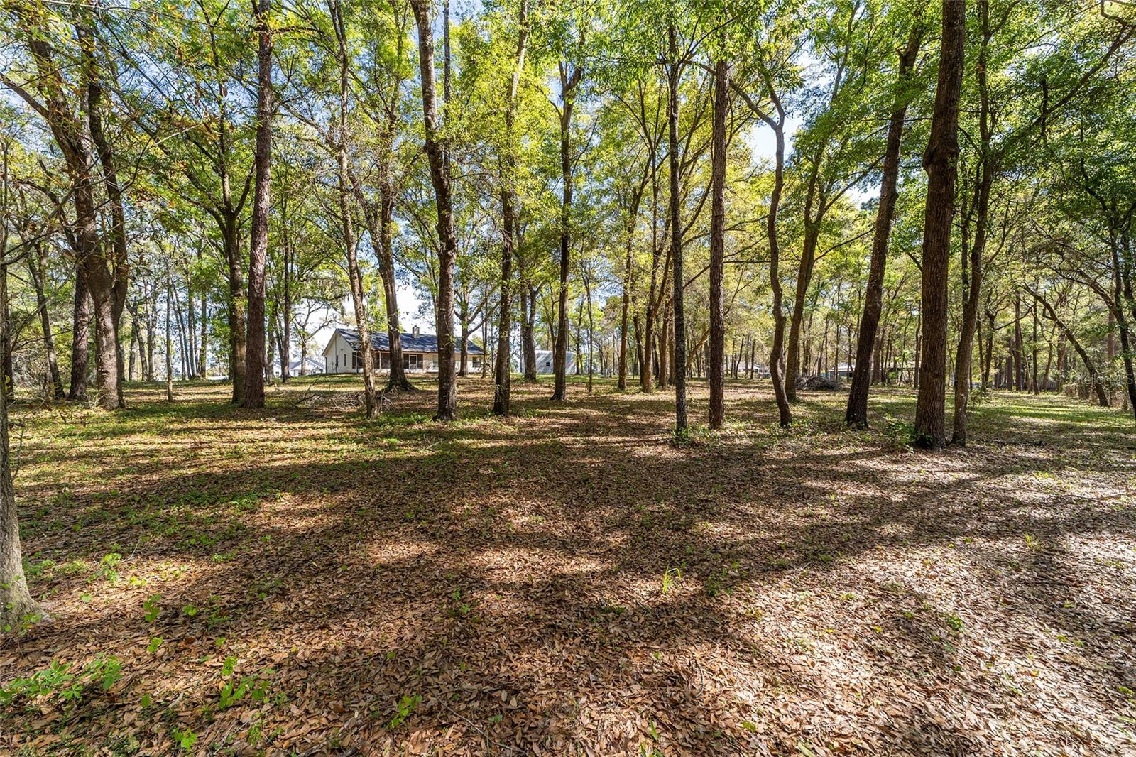 13740 SW 49TH PL, OCALA, FL, 34481