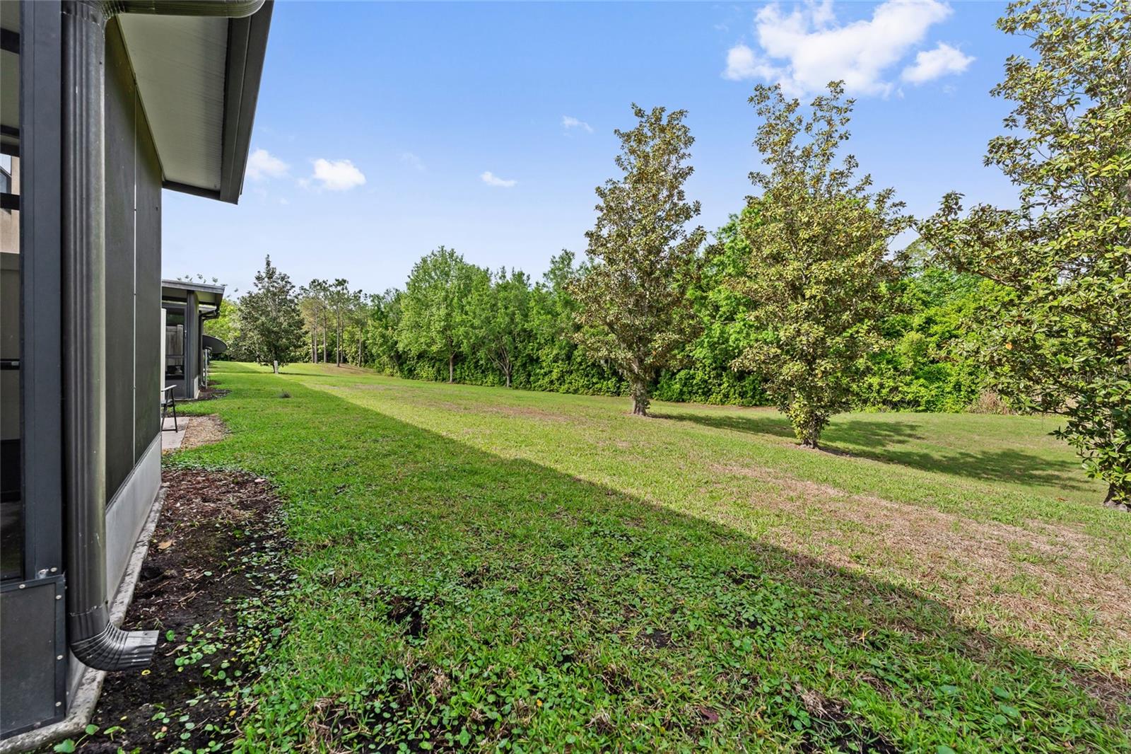 1550 DOWNY BIRCH LN, LONGWOOD, FL, 32750