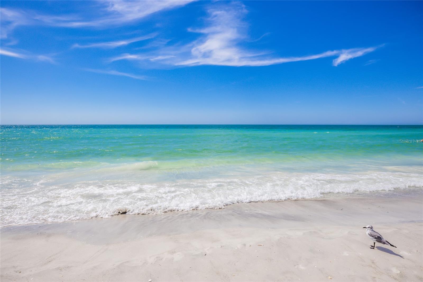 1800 BENJAMIN FRANKLIN DR #B1006, SARASOTA, FL, 34236