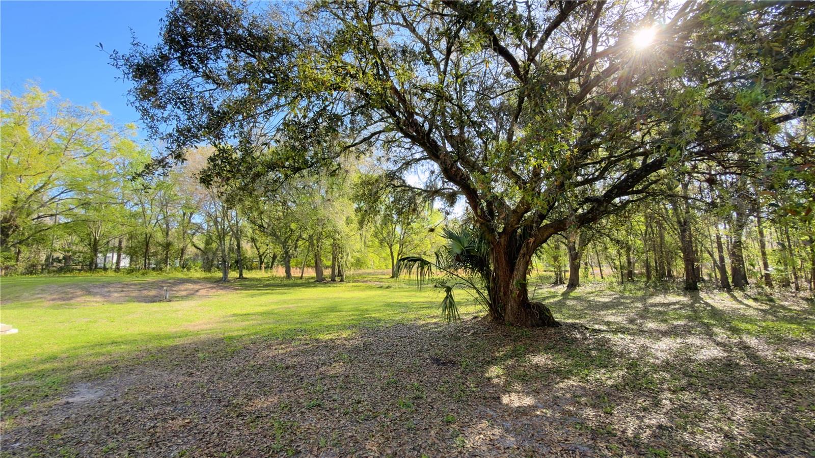 26242 DAYFLOWER BLVD, WESLEY CHAPEL, FL, 33544