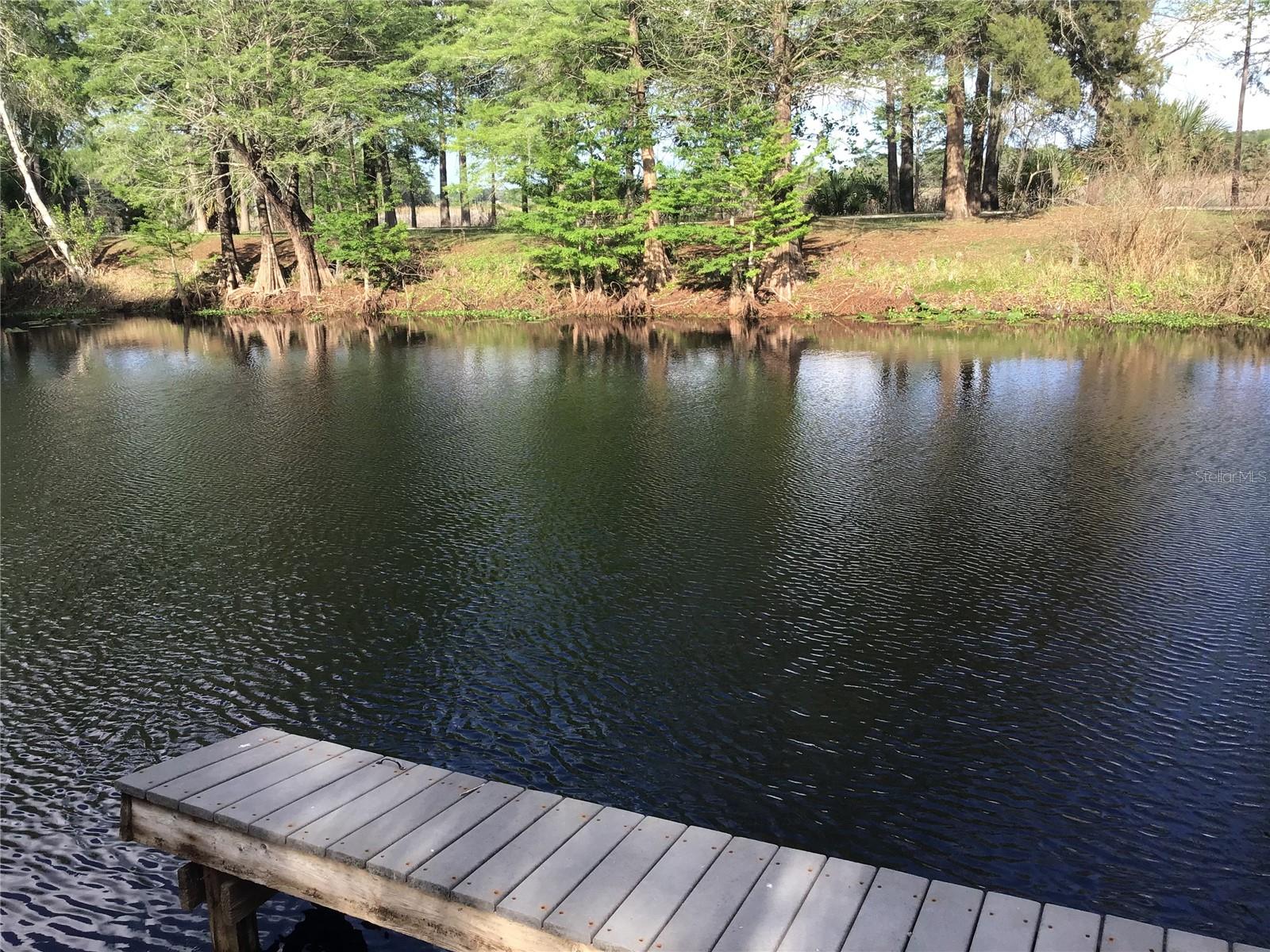 12451 SE 115TH AVE, BELLEVIEW, FL, 34420