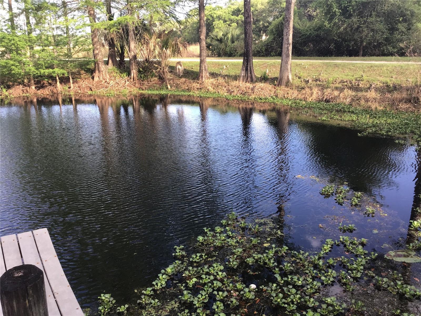 12451 SE 115TH AVE, BELLEVIEW, FL, 34420