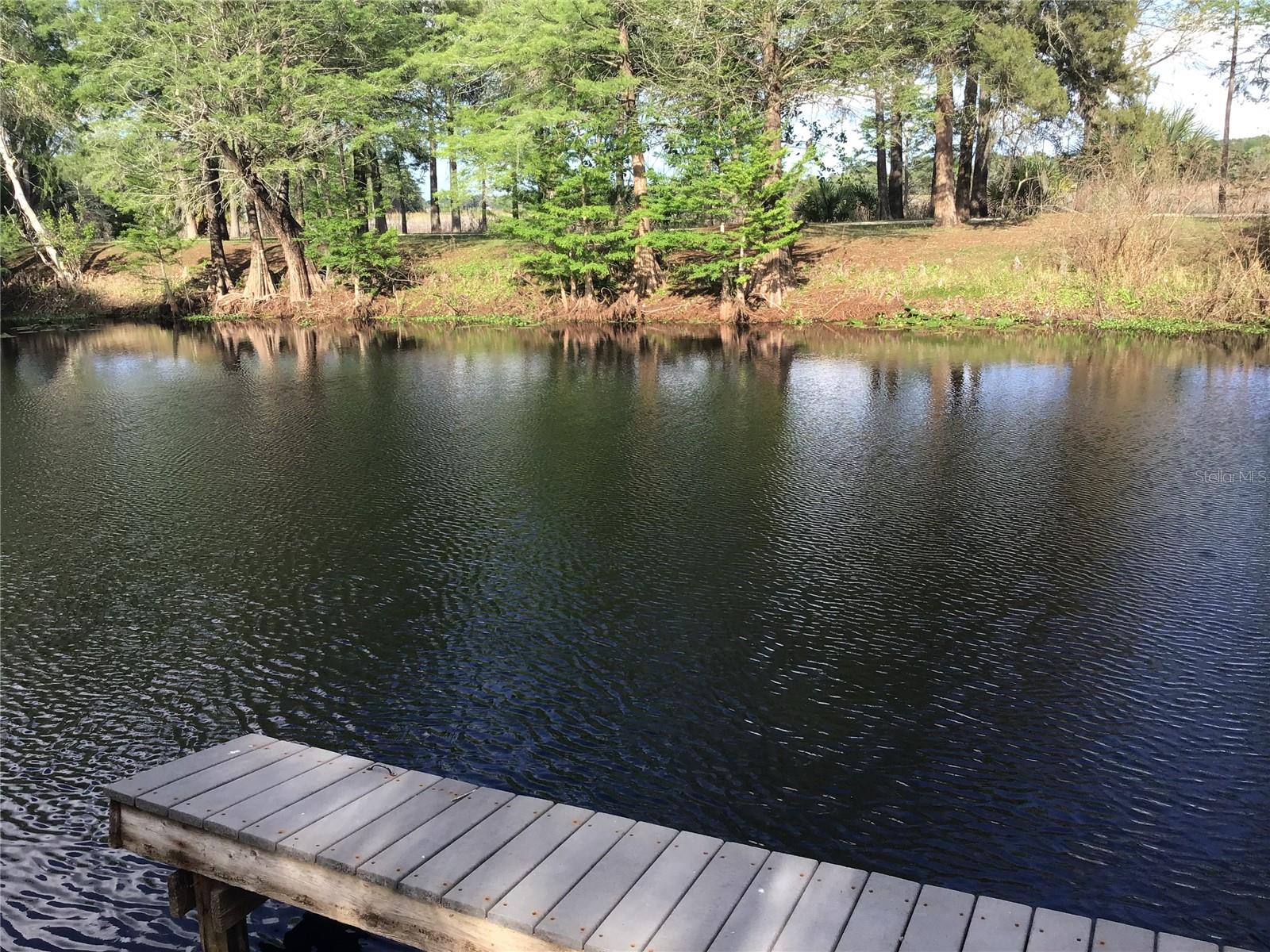12451 SE 115TH AVE, BELLEVIEW, FL, 34420