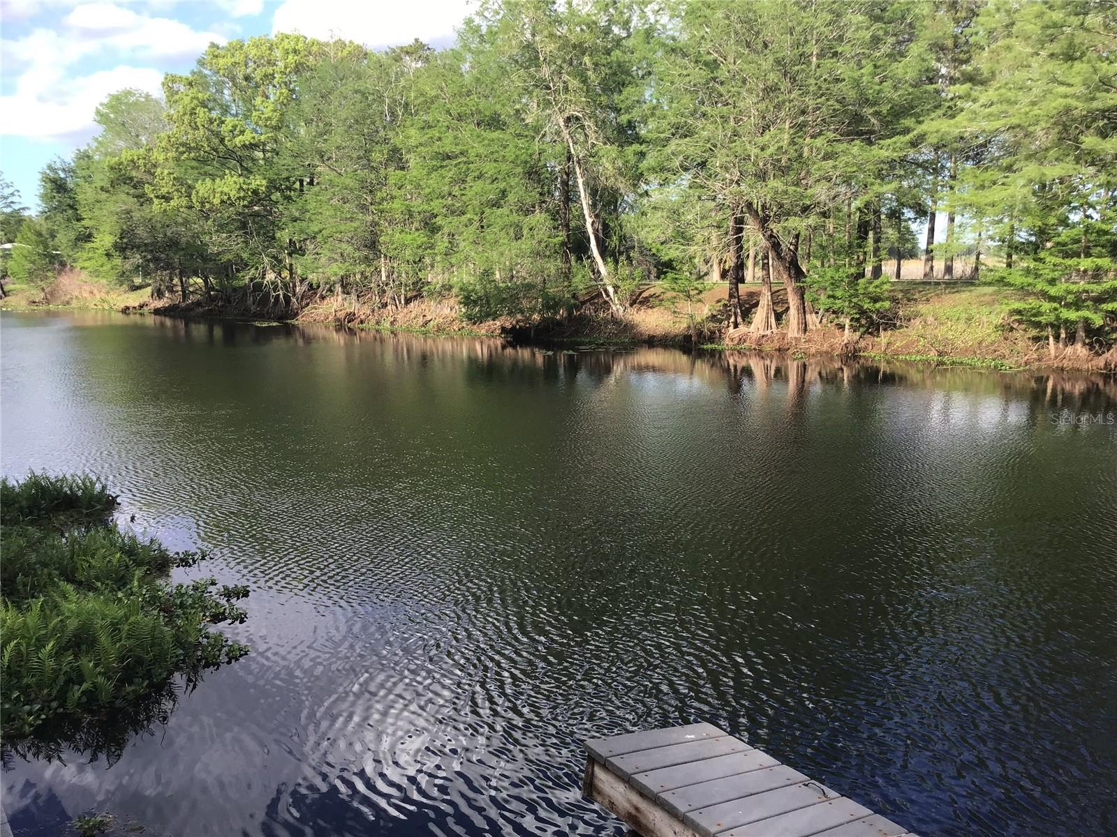 12451 SE 115TH AVE, BELLEVIEW, FL, 34420